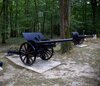 IMG_8741.jpg
