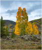 DSCF2501-Edit.jpg