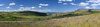 95 BCgr GrsLds Pano 5386 .jpg