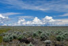 8-Oregon19-Lr-4793.jpg