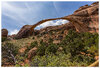 C5D4_DelicateArch042215.jpg