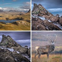 Scotland