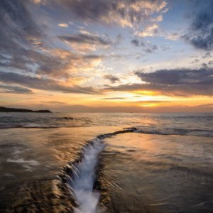 Local Photography