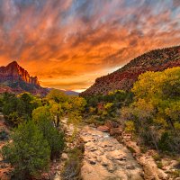 151103-3272-5DS- R-HDR(2) 5DR NAR BRIGHT Cppt 5 Cc Partioal 11 Levels D&B Sharp Blnd2