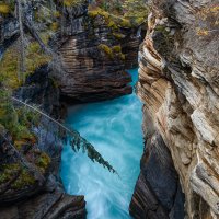 Athabasca Gorge