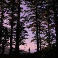Cape Perpetua in Yachats, Oregon