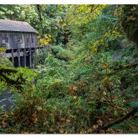 Cedar Creek Grist Mill