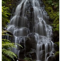 Fairy Falls