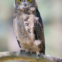 070612_XTi_1605 Copy