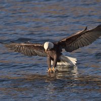 100106_50d_0454 Copy