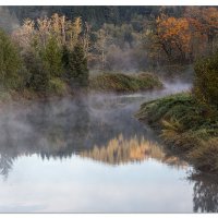 Misty Morning