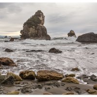 Harris Beach Marine Gardens