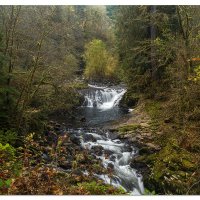 Sweet Creek Trail
