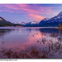 Abraham Lake, Alberta