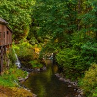 Summer at the Grist Mill