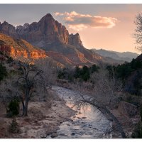 Watchman
