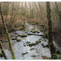 Wagon Road Trail