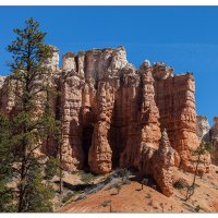 Mossy Cave Trail