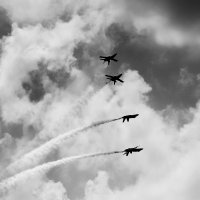Blue Angels (85bw)