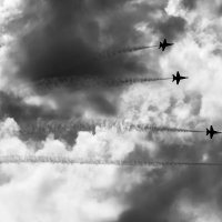 Blue Angels (86bw)