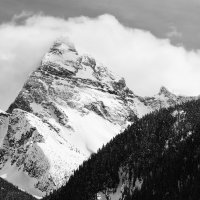 Rogers Pass, Mt. Sir Donald