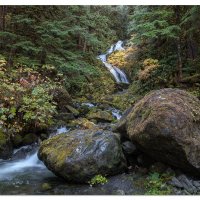 Bunch Creek Falls
