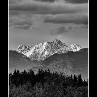 Whitehorse-bw