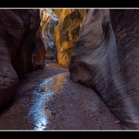 Willis-Canyon_0790