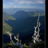Adams-from-Pinnacle-Pk