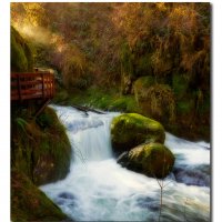 Sweet Creek