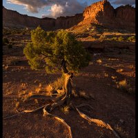 Chimney-Rock_425