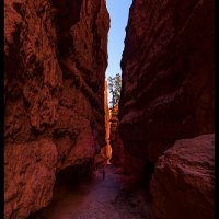 Bryce_1352