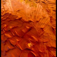 Coyote-Gulch_0207