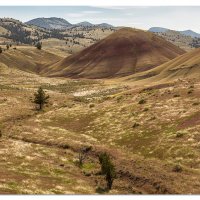 Painted Hills Springtime