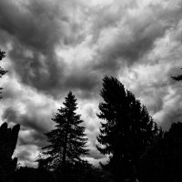 Clouds-TL_0283