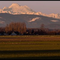 Skagit-Birds-3.10.18-(211)