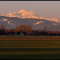 Skagit-Birds-3.10.18-(219)