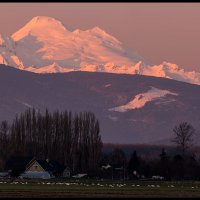 Skagit-Birds-3.10.18-(243)-Pano1