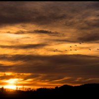 Skagit-Sunset-3.12.18-(146)