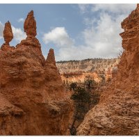 Bryce- Queens Garden Trail Scenes