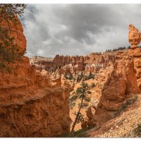 Bryce - Queens Garden Trail Scenes