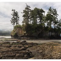 Low Tide in Crescent Bay