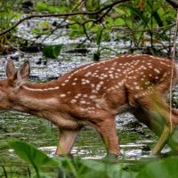 72K_0544_t2a  9x16 1000