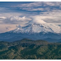 Mt. Hood From Larch Mountain