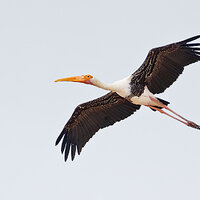 7D2_0436-2.jpg