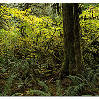 RimTrailPano2.jpg