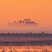 0002_OZA6858FoggyMorningFB.jpg
