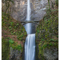 MultnomahXmas122509.jpg