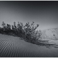 _BRC5492MesquiteFB.jpg