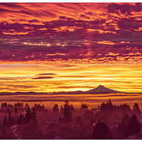 DJI_M3P_70_HoodSunrise012924-1.jpg